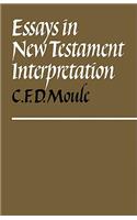 Essays in New Testament Interpretation