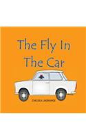 Fly in the car