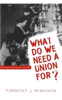 What Do We Need a Union For?