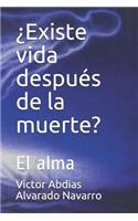 ¿existe Vida Después de la Muerte?