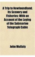 A Trip to Newfoundland; Its Scenery and Fisheries; With an Account of the Laying of the Submarine Telegraph Cable
