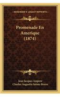 Promenade En Amerique (1874)