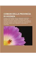 Comuni Della Provincia Di Vicenza: Vicenza, Arcugnano, Schio, Camisano Vicentino, Bassano del Grappa, Thiene, Trissino, Pove del Grappa(Italian)