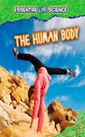 Human Body