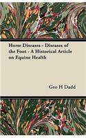 Horse Diseases - Diseases of the Foot - A Historical Article on Equine Health