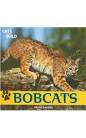 Bobcats