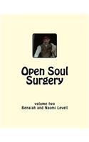 Vol. 2, Open Soul Surgery, large print edition