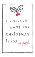 The Only Gift I Want For Christmas Is You Naked