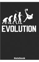 Evolution Notebook