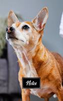 Chihuahua Dog Pup Puppy Doggie Notebook Bullet Journal Diary Composition Book Notepad - Proud Attitude