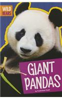 Giant Pandas: (Wild Bears)