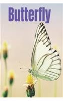 Butterfly: Notebook