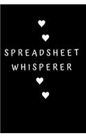 Spreadsheet Whisperer