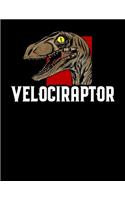 Velociraptor