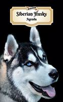 2020 Siberian Husky Agenda