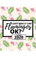 I Just Really Flamingos Ok?