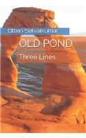 Old Pond