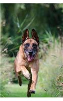 Belgian Shepherd Dog Malinois Running on the Path Journal: Take Notes, Write Down Memories in this 150 Page Lined Journal