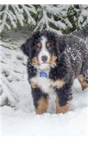 Bernese Mountain Dog Posing in the Snow Journal: Take Notes, Write Down Memories in this 150 Page Lined Journal