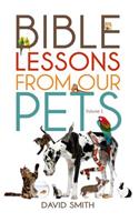 Bible Lessons from Our Pets