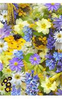 Spring Notebook