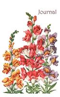Journal: Antique Floral Design Cover Notebook - Lined Journal - Composition Book - 6 X 9 Ruled Paper - 100 Pages