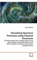 Simulating Quantum Processes using Classical Structures