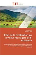 Effet de la Fertilisation Sur La Valeur Fourragère de B. Ruziziensis