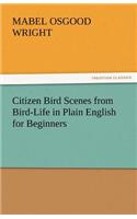 Citizen Bird Scenes from Bird-Life in Plain English for Beginners