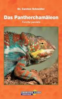 Das Pantherchamaleon: Furcifer pardalis