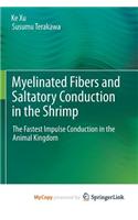 Myelinated Fibers and Saltatory Conduction in the Shrimp