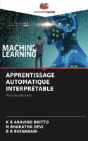 Apprentissage Automatique Interprétable