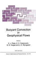 Buoyant Convection in Geophysical Flows