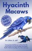 Hyacinth Macaws