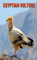 Egyptian Vulture: Amazing Photos & Fun Facts Book About Egyptian Vulture For Kids