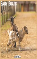 Baby Goats 2021 Wall Calendar