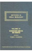 Methods in Cell Biology, Volume 27 Cth: Echinoderm Gametes and Embryos: Echinoderm Gametes and Embryos(Methods in Cell Biology)