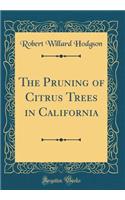 The Pruning of Citrus Trees in California (Classic Reprint)