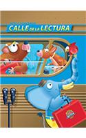 Reading 2011 Spanish Sing with Me Little Book Grade 1