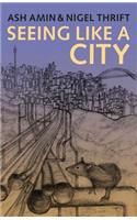 Seeing Like a City
