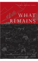 What Remains: Coming to Terms with Civil War in 19th Century China