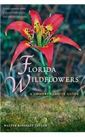 Florida Wildflowers