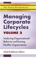 Managing Corporate Lifecycles - Volume 2