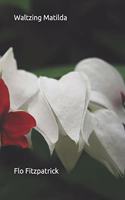 Waltzing Matilda