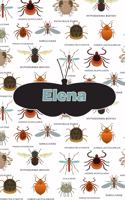 Elena: Bug Insect Draw and Write Journal Notebook 120 Pages 6x9