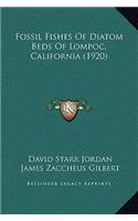 Fossil Fishes of Diatom Beds of Lompoc, California (1920)