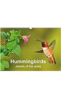 Hummingbirds Jewels of the Skies 2018