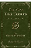 The Scar That Tripled: A True Story of the Great War (Classic Reprint)