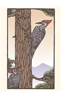 Woodpecker (Boxed)
