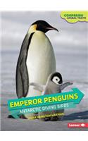 Emperor Penguins: Antarctic Diving Birds(Comparing Animal Traits)